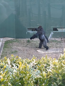 名古屋市東山動植物園に投稿された画像（2026/1/29）