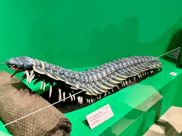 特別展「大絶滅展―生命史のビッグファイブ」に投稿された画像（2026/1/29）