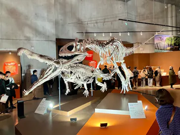 特別展「大絶滅展―生命史のビッグファイブ」に投稿された画像（2026/1/29）