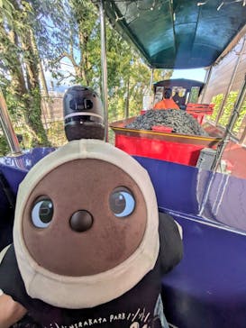 ひらかたパークに投稿された画像（2026/1/29）