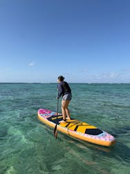 NATURE SHOP PAOに投稿された画像（2026/1/29）