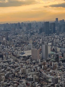 東京スカイツリーに投稿された画像（2026/1/29）