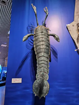 特別展「大絶滅展―生命史のビッグファイブ」に投稿された画像（2026/1/30）