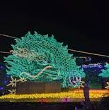 伊豆高原グランイルミに投稿された画像（2026/1/30）