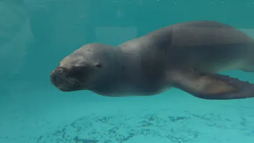 竹島水族館に投稿された画像（2026/1/30）