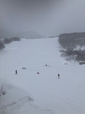 氷ノ山国際スキー場に投稿された画像（2026/1/30）