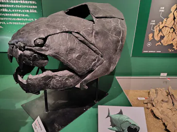 特別展「大絶滅展―生命史のビッグファイブ」に投稿された画像（2026/1/30）