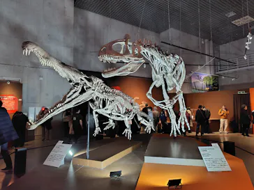 特別展「大絶滅展―生命史のビッグファイブ」に投稿された画像（2026/1/30）