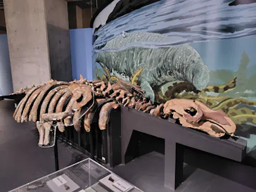 特別展「大絶滅展―生命史のビッグファイブ」に投稿された画像（2026/1/30）