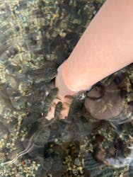 栃木県なかがわ水遊園に投稿された画像（2026/1/30）