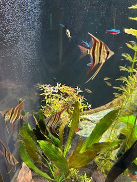 栃木県なかがわ水遊園に投稿された画像（2026/1/30）