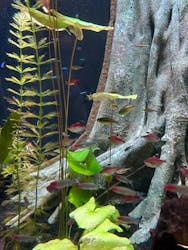 栃木県なかがわ水遊園に投稿された画像（2026/1/30）