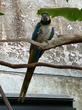 栃木県なかがわ水遊園に投稿された画像（2026/1/30）
