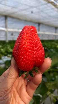 株式会社こまち野に投稿された画像（2026/1/30）