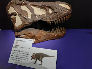 特別展「大絶滅展―生命史のビッグファイブ」に投稿された画像（2026/1/30）