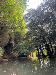 カヌー体験　らぐ～んに投稿された画像（2026/1/30）