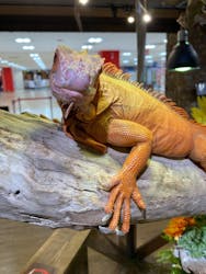 NARA IKIMONO MUSEUMに投稿された画像（2026/1/30）