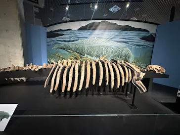 特別展「大絶滅展―生命史のビッグファイブ」に投稿された画像（2026/1/30）