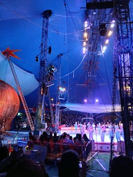 木下大サーカス立川公演に投稿された画像（2026/1/30）