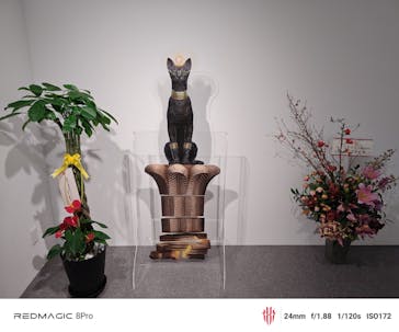 IMMERSIVE JOURNEY 名古屋に投稿された画像（2026/1/30）