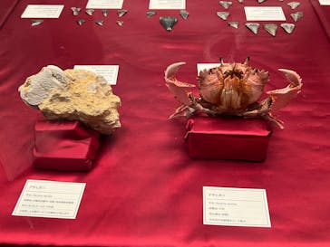 沖縄県立博物館・美術館〔おきみゅー〕に投稿された画像（2026/1/30）