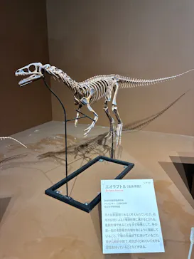 特別展「大絶滅展―生命史のビッグファイブ」に投稿された画像（2026/1/30）