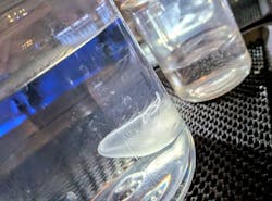 すみだ水族館に投稿された画像（2026/1/30）