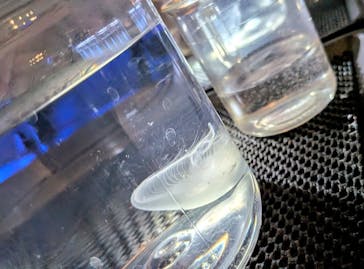 すみだ水族館に投稿された画像（2026/1/30）