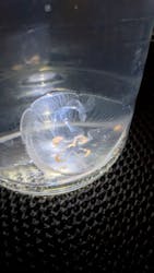 すみだ水族館に投稿された画像（2026/1/30）