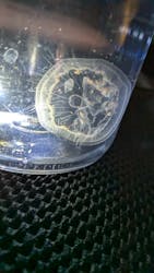 すみだ水族館に投稿された画像（2026/1/30）