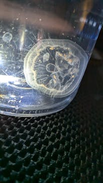 すみだ水族館に投稿された画像（2026/1/30）