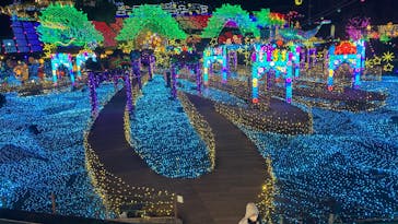 伊豆高原グランイルミに投稿された画像（2026/1/30）