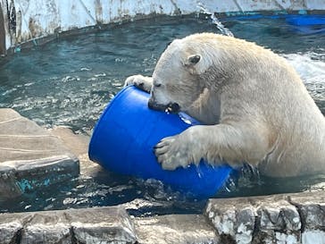 名古屋市東山動植物園に投稿された画像（2026/1/31）