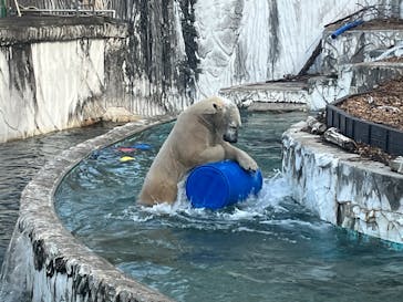 名古屋市東山動植物園に投稿された画像（2026/1/31）