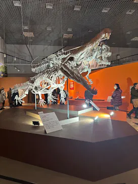 特別展「大絶滅展―生命史のビッグファイブ」に投稿された画像（2026/1/31）