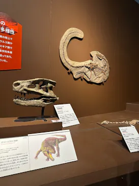 特別展「大絶滅展―生命史のビッグファイブ」に投稿された画像（2026/1/31）