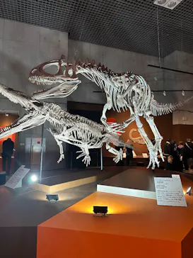 特別展「大絶滅展―生命史のビッグファイブ」に投稿された画像（2026/1/31）