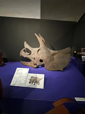 特別展「大絶滅展―生命史のビッグファイブ」に投稿された画像（2026/1/31）