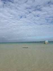 石垣島 ADVENTURE PiPi（イシガキジマアドベンチャーピピ）に投稿された画像（2026/1/31）