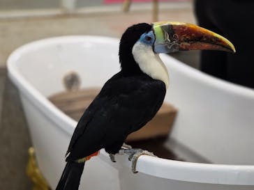 アニタッチ 東京ドームシティに投稿された画像（2026/1/31）