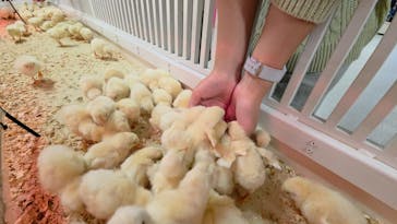 アニタッチ 東京ドームシティに投稿された画像（2026/1/31）