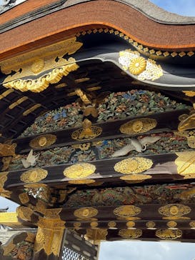 元離宮二条城に投稿された画像（2026/1/31）