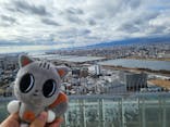 梅田スカイビル・空中庭園展望台に投稿された画像（2026/1/31）