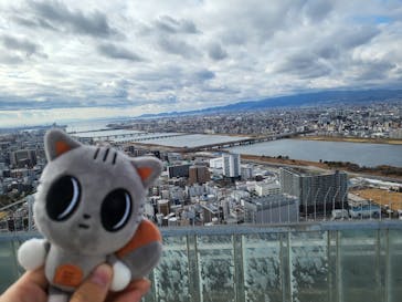 梅田スカイビル・空中庭園展望台に投稿された画像（2026/1/31）