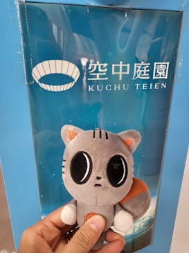 梅田スカイビル・空中庭園展望台に投稿された画像（2026/1/31）