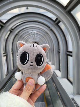 梅田スカイビル・空中庭園展望台に投稿された画像（2026/1/31）