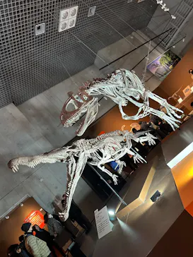 特別展「大絶滅展―生命史のビッグファイブ」に投稿された画像（2026/1/31）