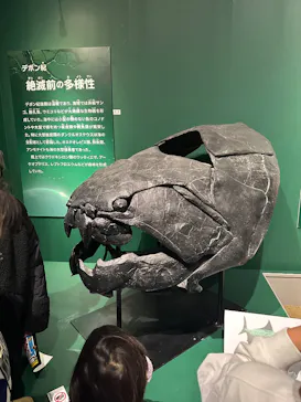 特別展「大絶滅展―生命史のビッグファイブ」に投稿された画像（2026/1/31）