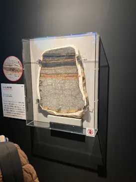 特別展「大絶滅展―生命史のビッグファイブ」に投稿された画像（2026/1/31）