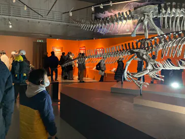 特別展「大絶滅展―生命史のビッグファイブ」に投稿された画像（2026/1/31）